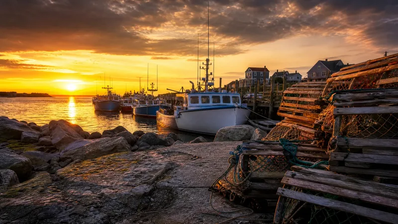 Lobster boats and stacked traps on a rocky harbor wharf at dawn, no text, How to Start an Oyster, Kelp or Seaweed Sea Farm in Maine